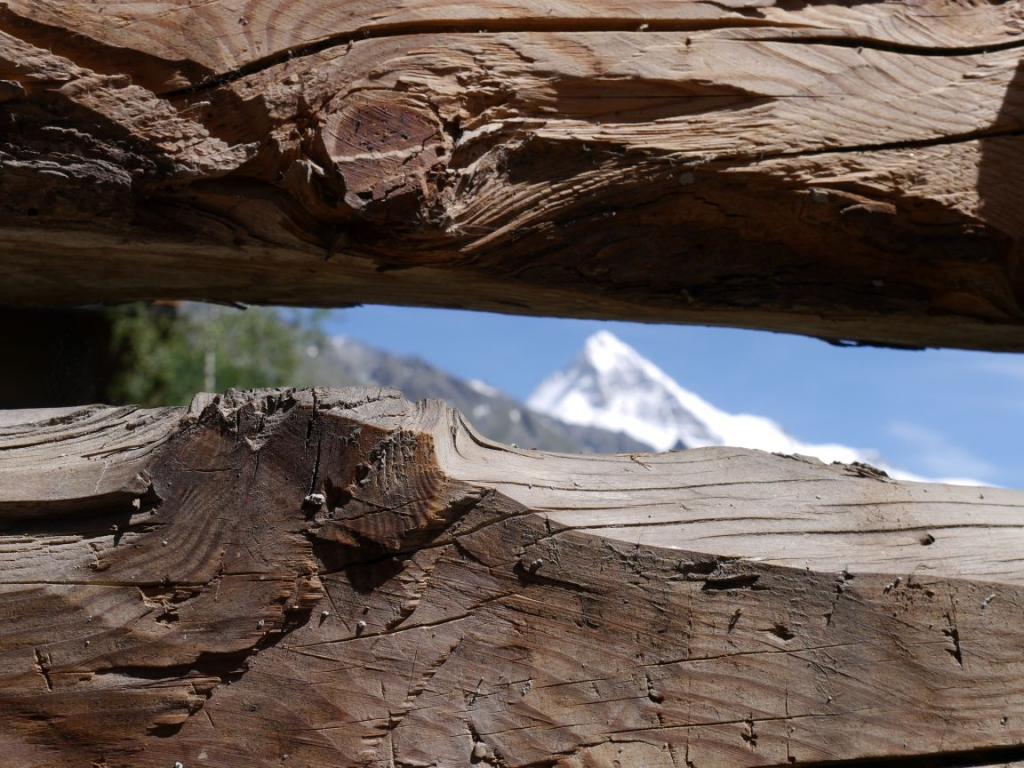 Mayens à louer près de la Dent Blanche