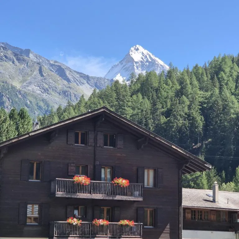 Vente Appartement authentique Evolène