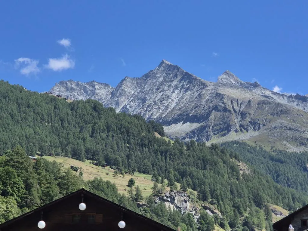 Vente Appartement authentique Evolène