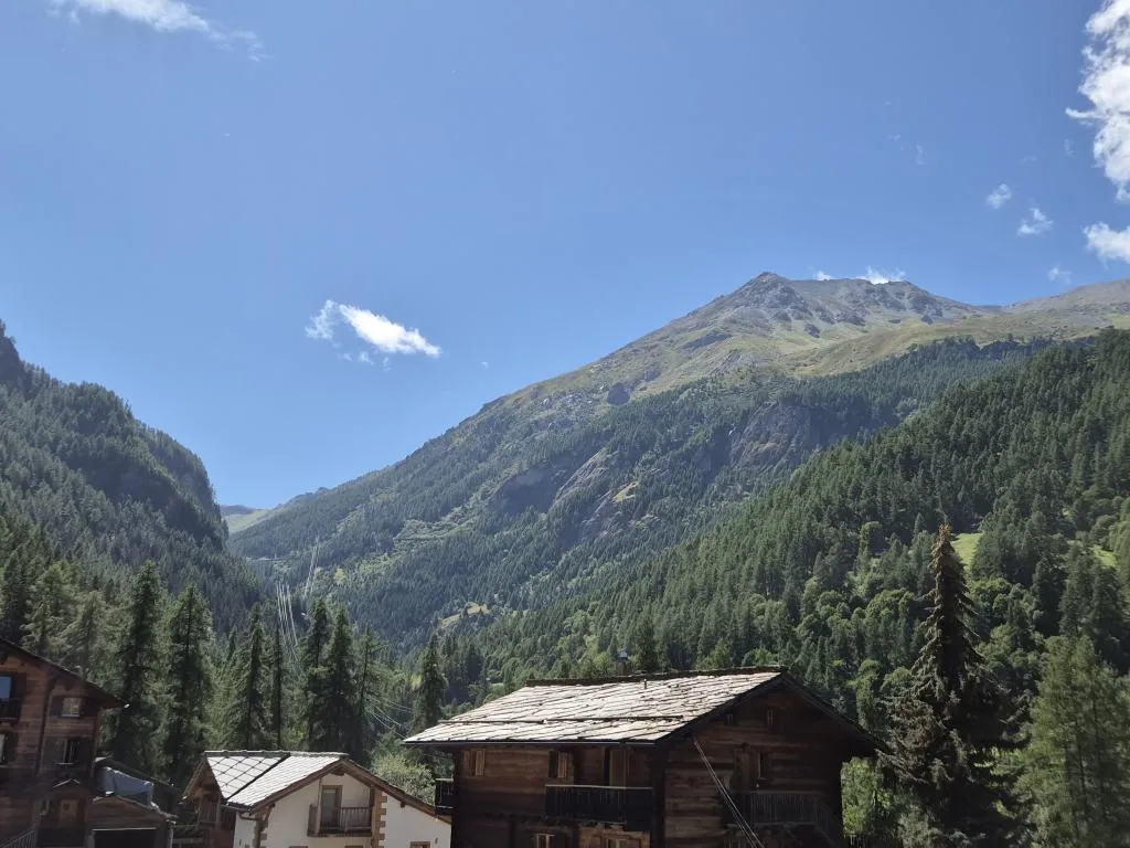 Vente Appartement authentique Evolène
