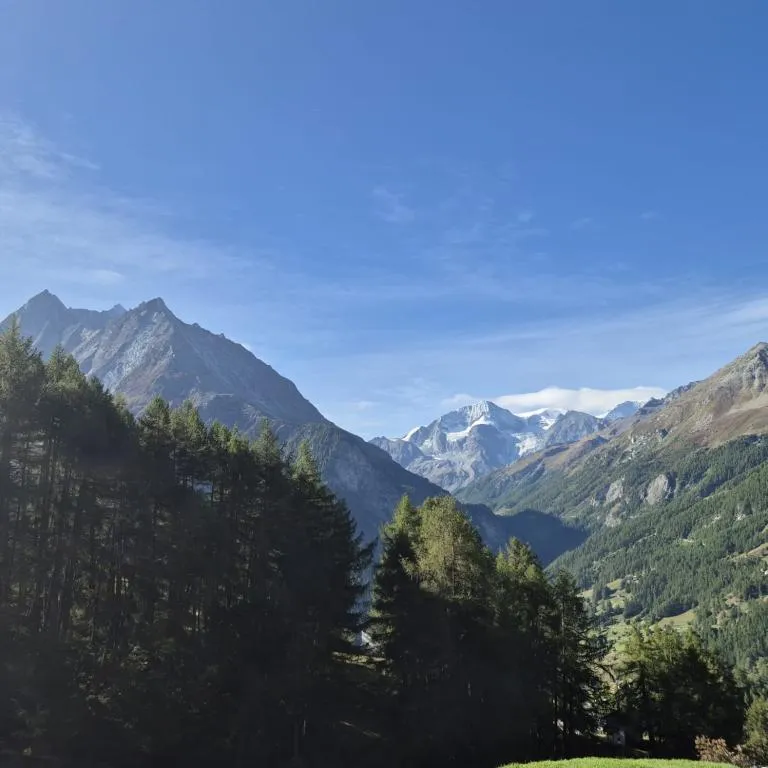 Vente exclusive Chalet Evolène Résidence principale