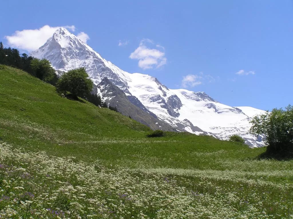 Vacances Eté Offres Evolène